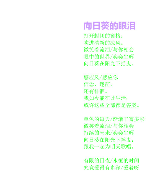 向日葵的眼泪