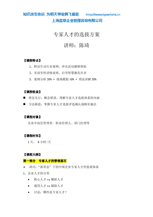 《专家人才的选拔方案》
