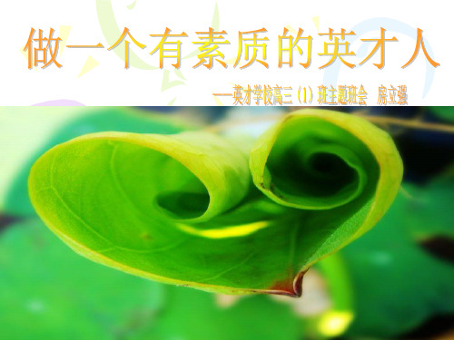 主题班会：做一个有素质的人ppt课件