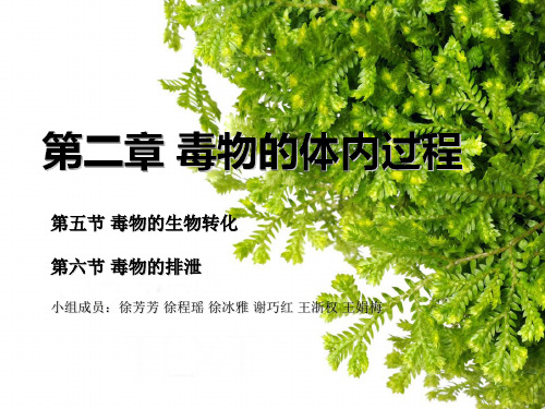 毒理学 毒物的体内过程