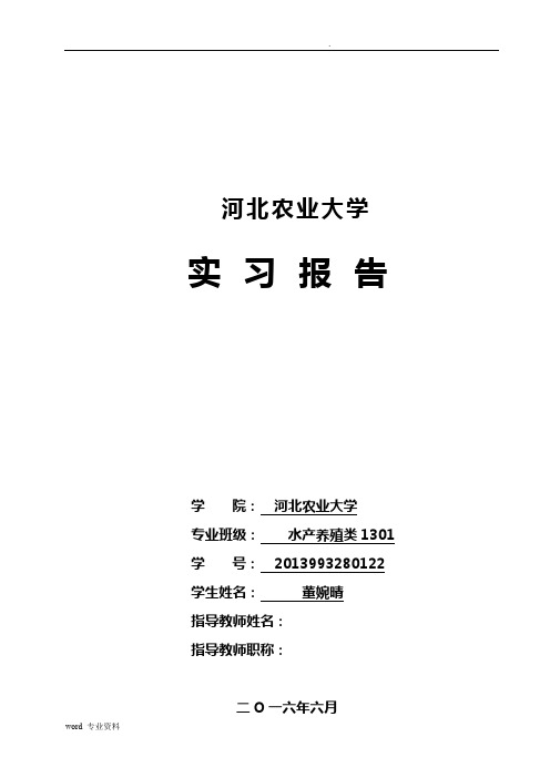 实习报告封面模板
