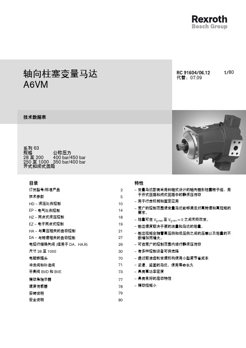 A6VM马达样本 中文