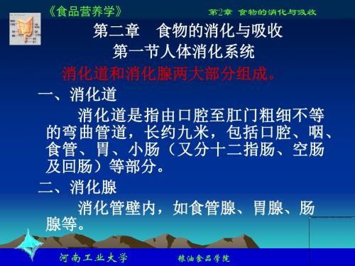 食品营养学课件2