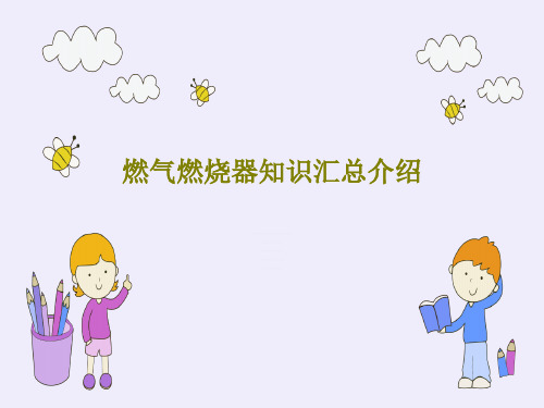 燃气燃烧器知识汇总介绍共85页