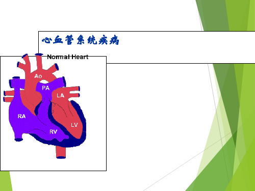 儿科学心血管 医学PPT