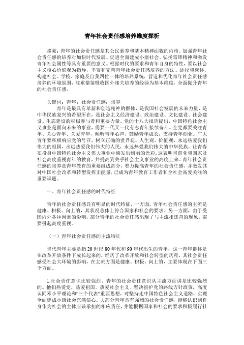 青年社会责任感培养维度探析
