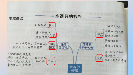 情绪的管理(完美版)PPT课件部编版课件1