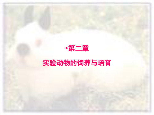 第二章实验动物的饲养与培育