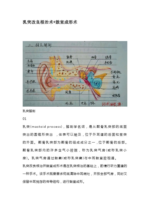 乳突改良根治术+鼓室成形术