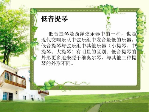 乐器——低音提琴介绍