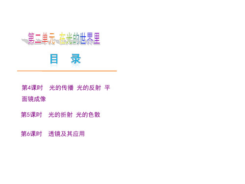 中考物理复习在光的世界里 共84页PPT资料