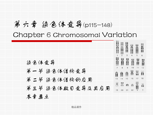 遗传学第六章染色体变异