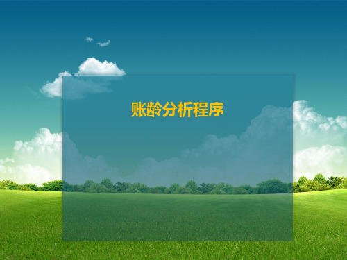 账龄分析程序ppt
