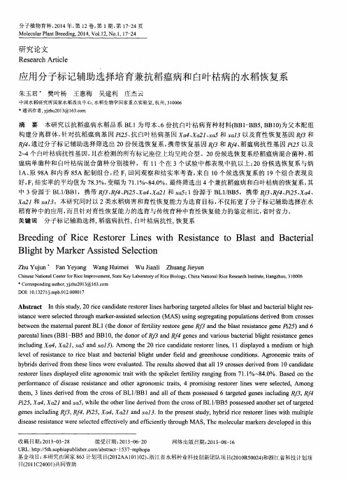 应用分子标记辅助选择培育兼抗稻瘟病和白叶枯病的水稻恢复系