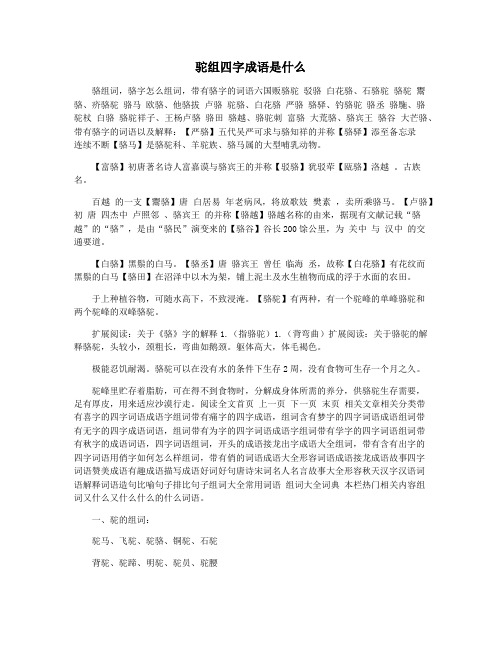驼组四字成语是什么