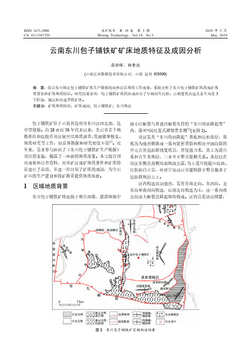 云南东川包子铺铁矿矿床地质特征及成因分析