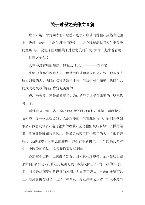关于过程之美作文3篇