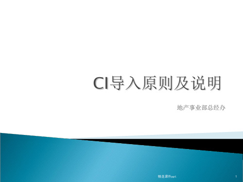 CI导入原则及说明ppt课件