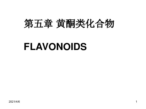 05黄酮演示文稿