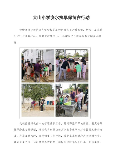 大山小学抗旱保苗行动
