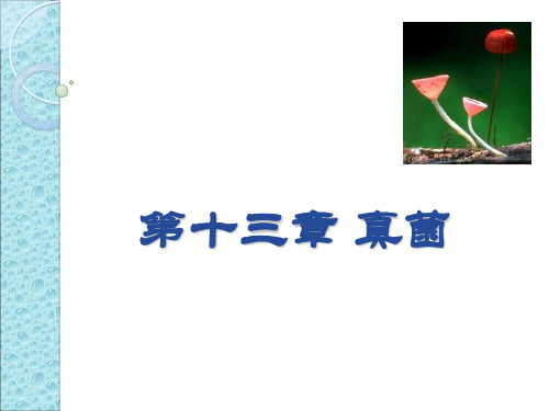 真菌