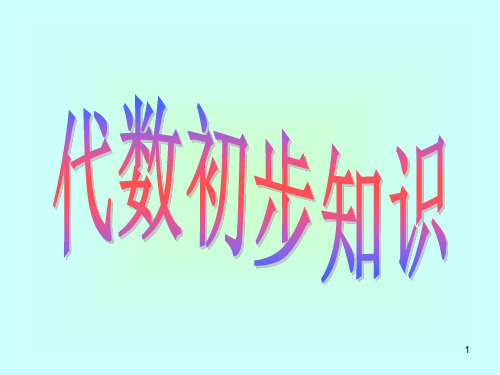 小学数学六年级总复习代数初步知识PPT课件