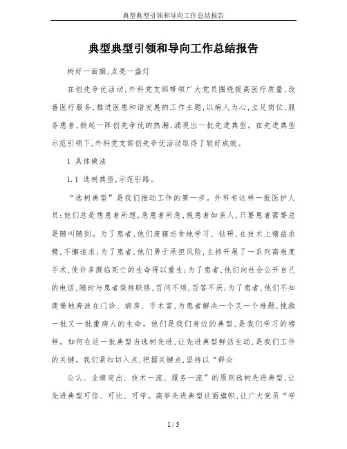 典型典型引领和导向工作总结报告