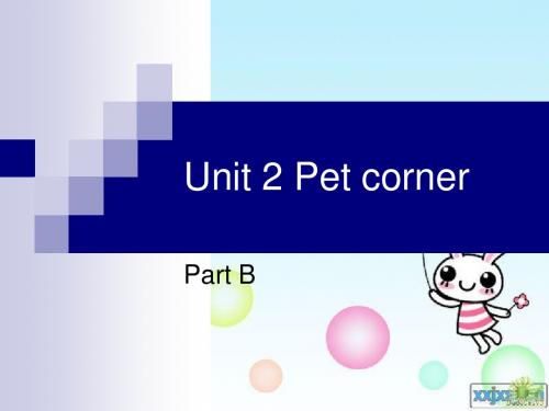 深港朗文版英语三下《Unit 2 Pet corner》partB课件