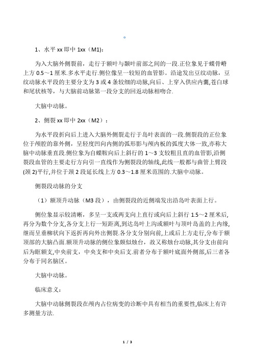大脑中动脉