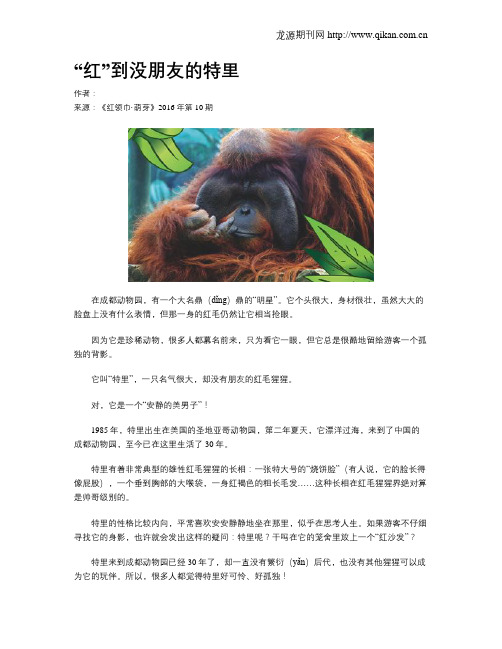 “红”到没朋友的特里