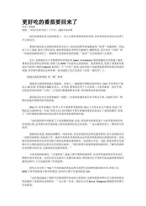 更好吃的番茄要回来了