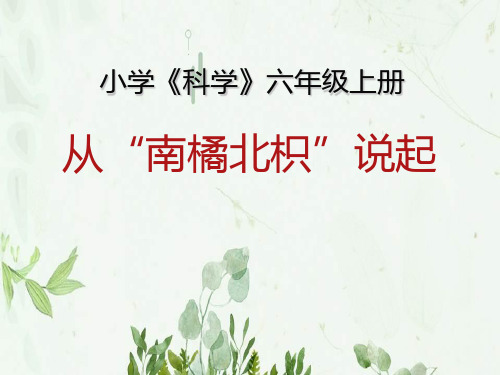 《从南橘北枳说起》下载PPT课件 图文