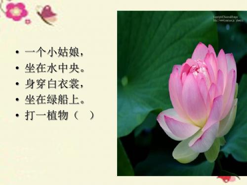 人教版语文三下习作一《家乡的景物》ppt作文课件1