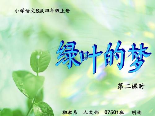 绿叶的梦ppt