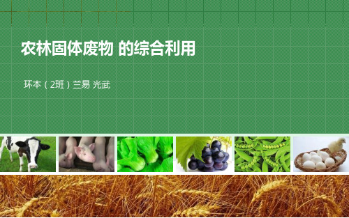 农林废弃物的综合利用
