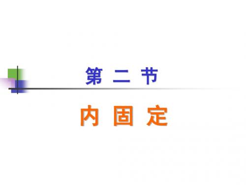 内固定