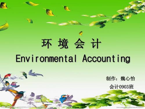 环境会计