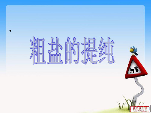 2018年中考化学粗盐提纯课件