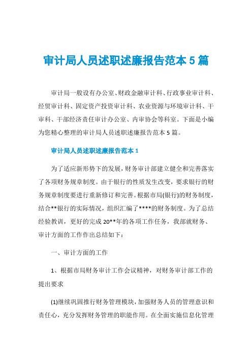 审计局人员述职述廉报告范本5篇