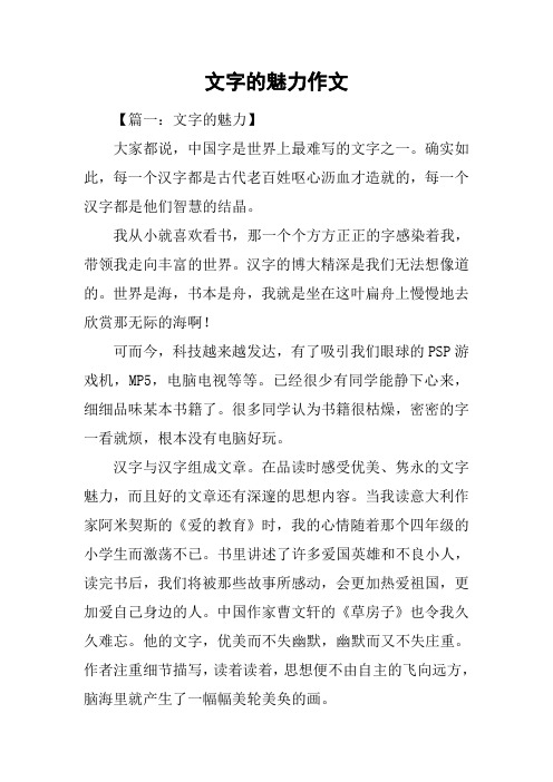 文字的魅力作文
