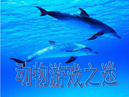 《动物游戏之谜》教学ppt课件