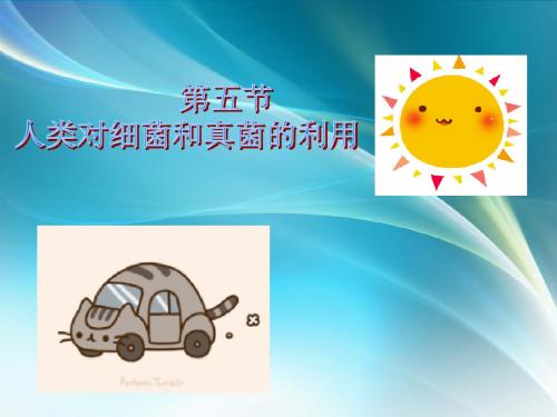 八年级上册人教版生物 第四章 第五节 人类对细菌和真菌的利用