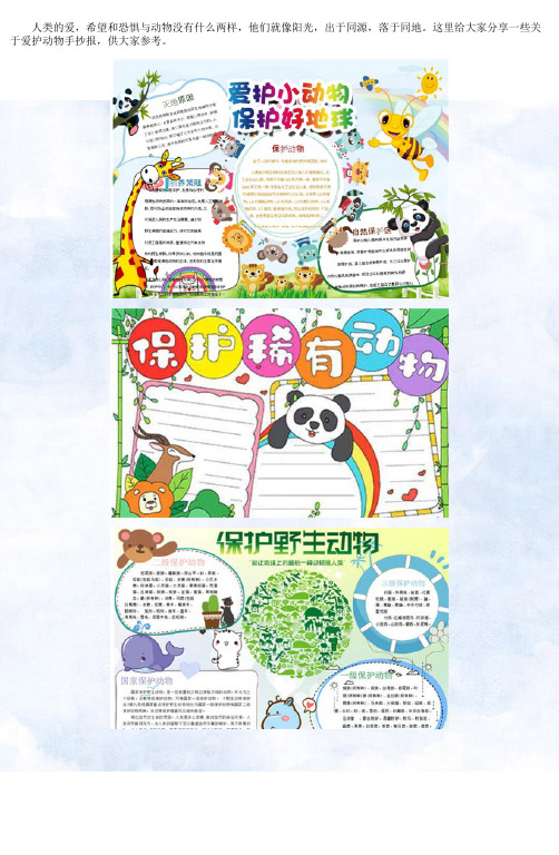 爱护动物手抄报精美图片5张