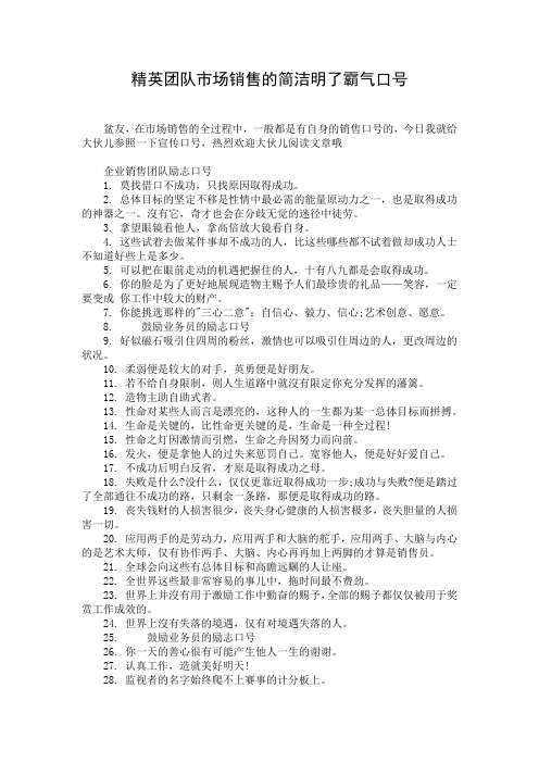 精英团队市场销售的简洁明了霸气口号