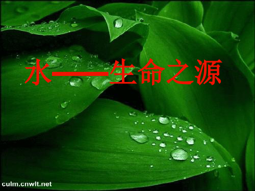 校本课程《水——生命之源》