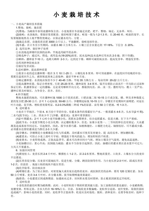 玉米、小麦栽培技术
