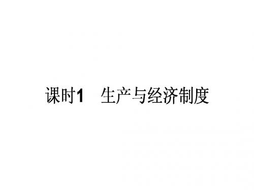 2019高考政治一轮复习新人教版 生产与经济制度课件