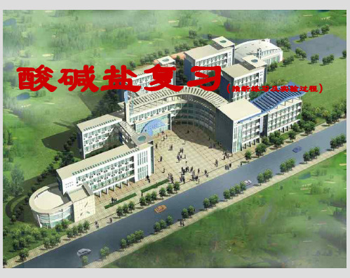 九年级科学酸碱盐复习ppt