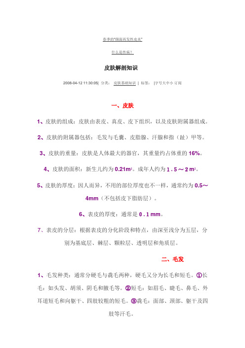 皮肤、汗腺