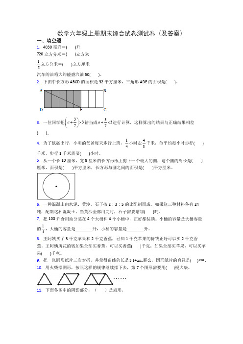 数学六年级上册期末综合试卷测试卷(及答案)